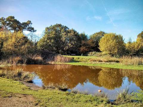 Barn Hill Pond photo